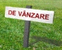Teren intravilan de vanzare in Lacu Sarat